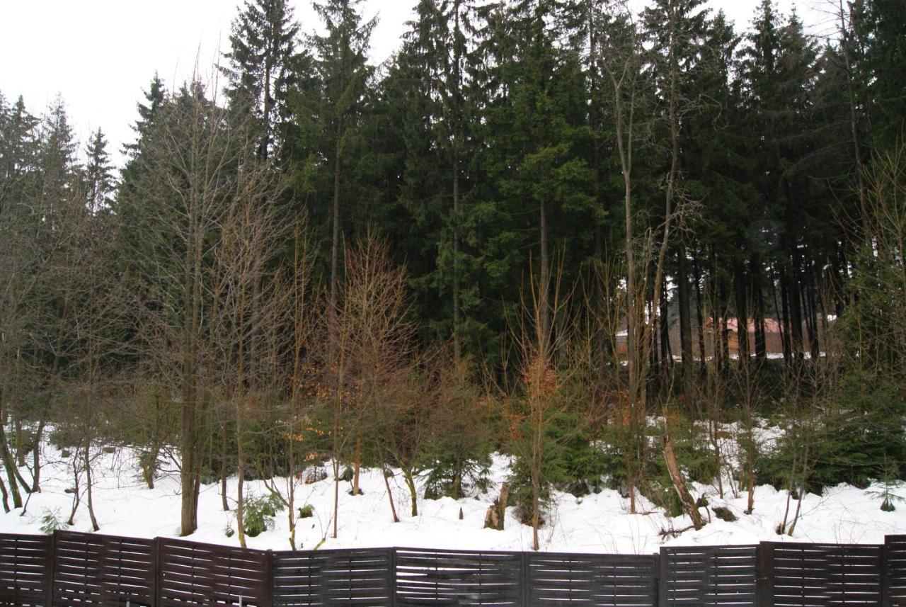 Fewo Adler 2-6 Personen Braunlage Extérieur photo